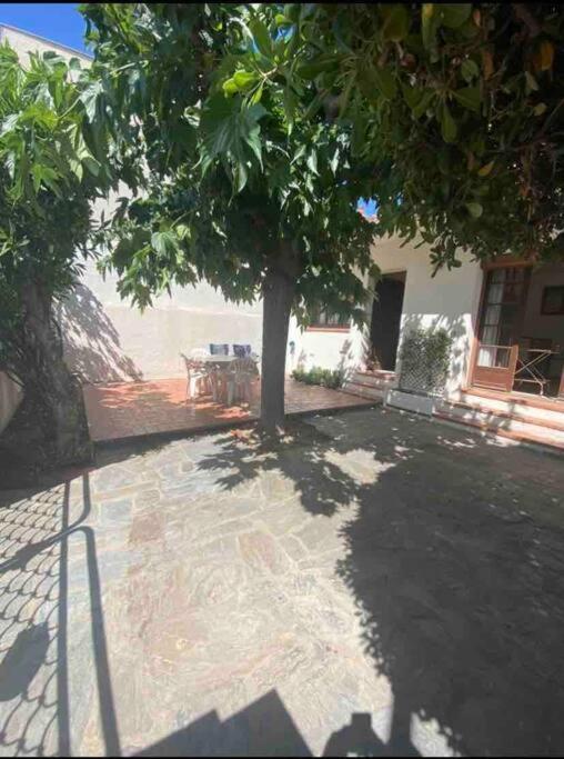 Maison Proche Plage Canet-en-Roussillon Exterior foto